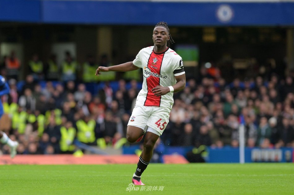 在主场复仇 在主场复仇